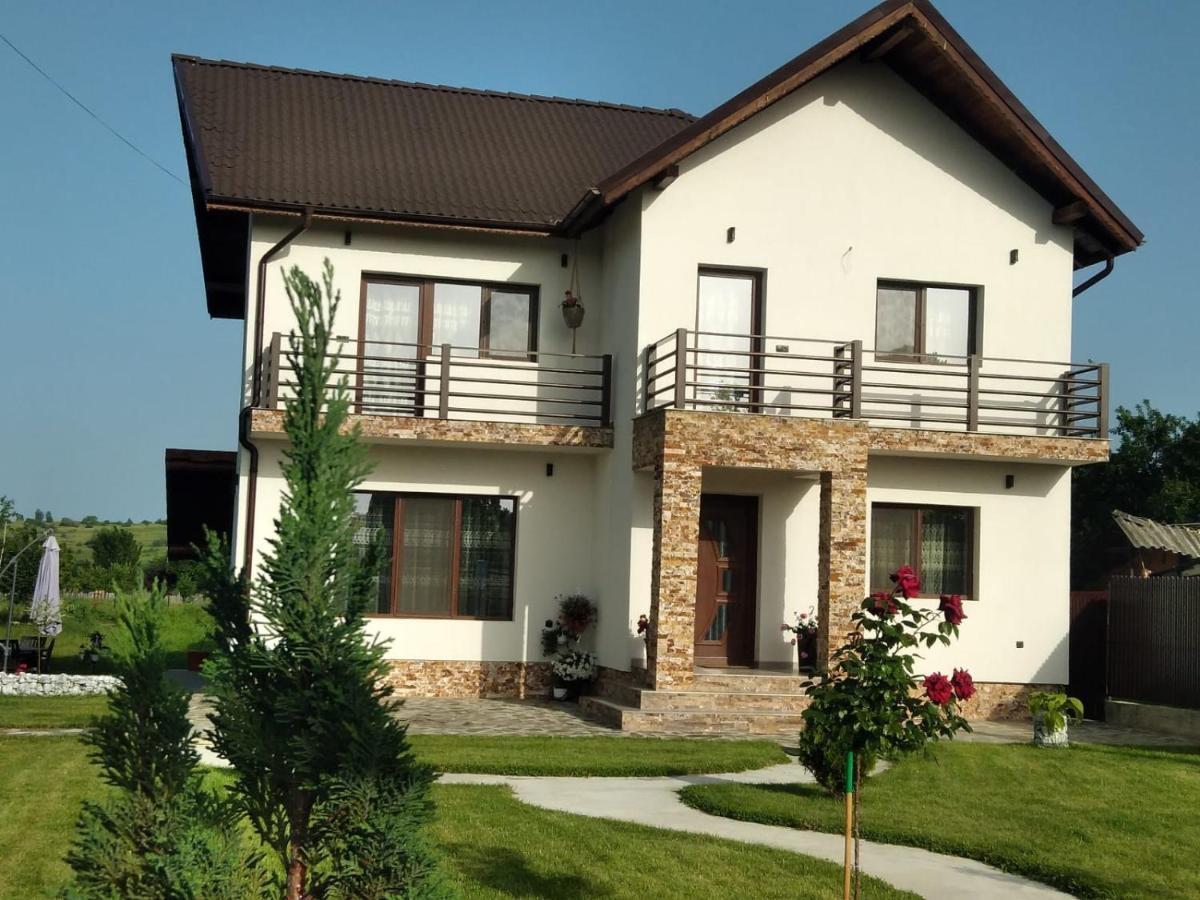 Pensiunea Casa Nusa Baia de Fier Esterno foto