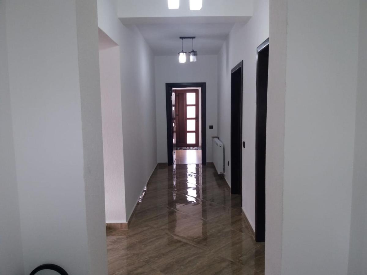 Pensiunea Casa Nusa Baia de Fier Esterno foto