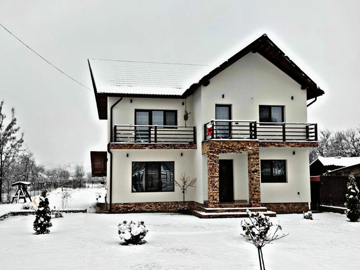 Pensiunea Casa Nusa Baia de Fier Esterno foto