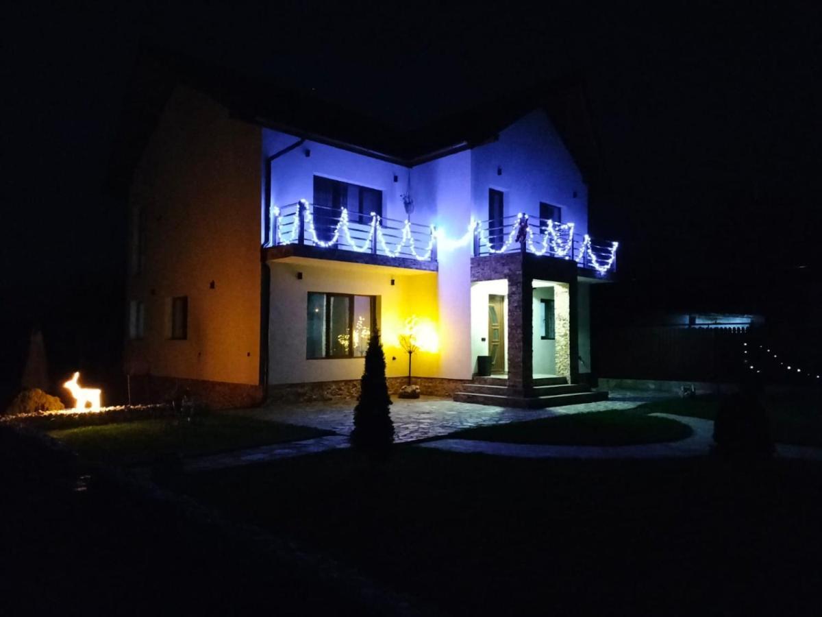 Pensiunea Casa Nusa Baia de Fier Esterno foto