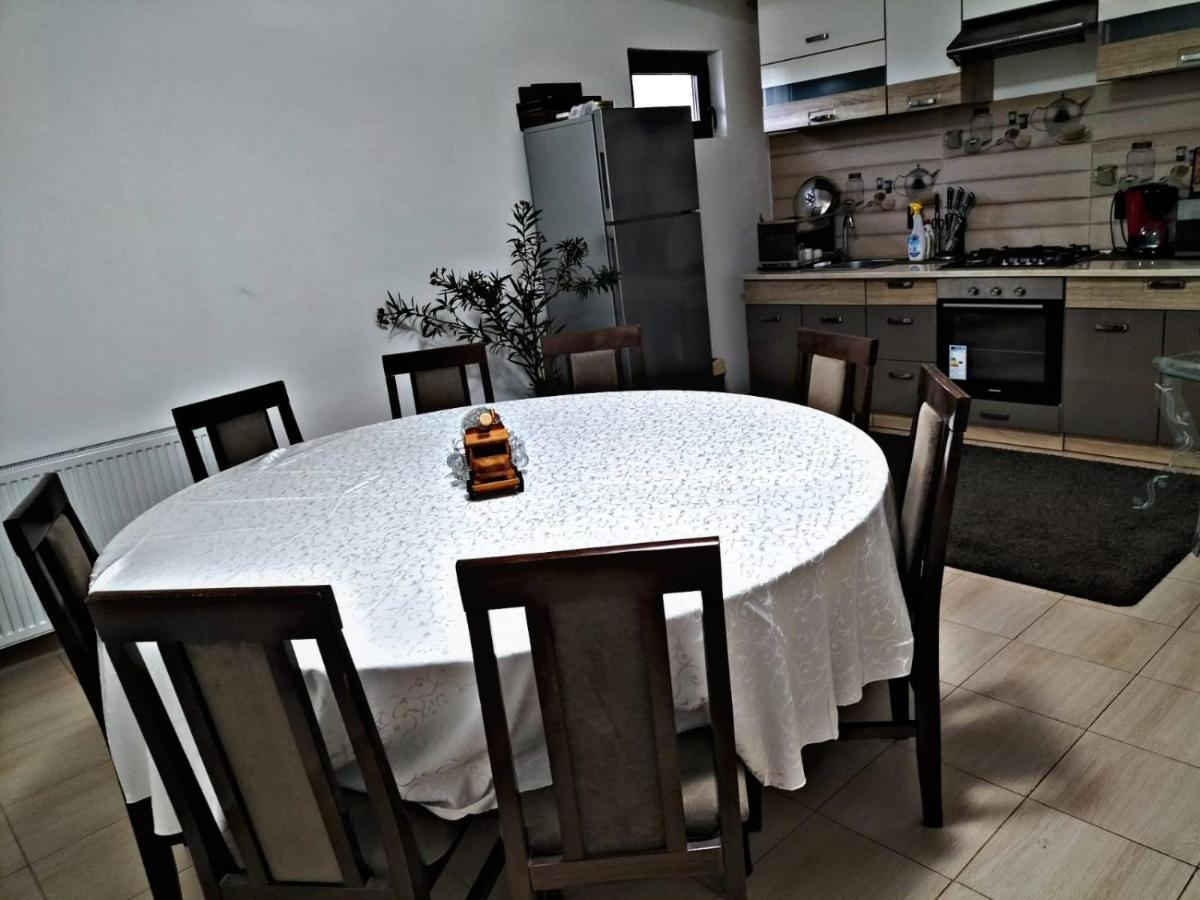Pensiunea Casa Nusa Baia de Fier Esterno foto