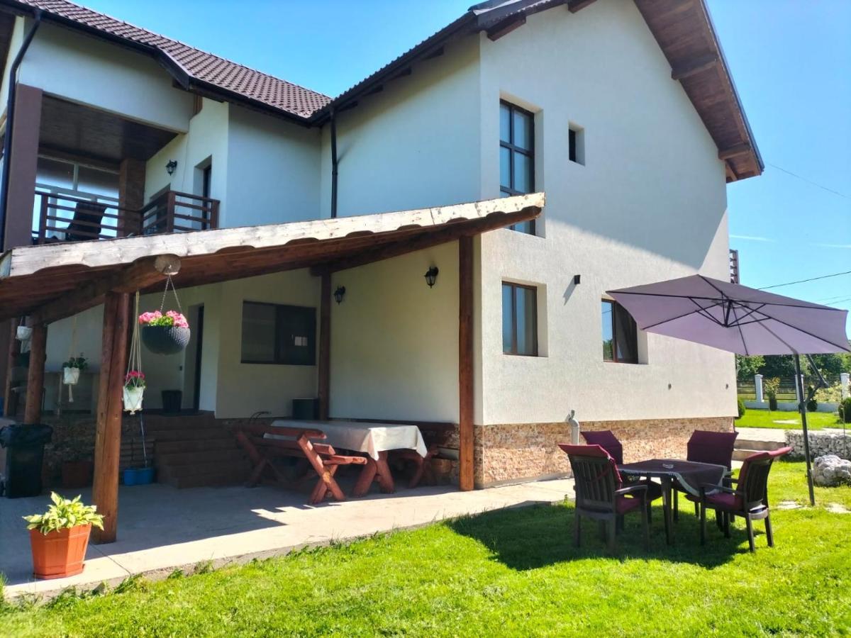Pensiunea Casa Nusa Baia de Fier Esterno foto